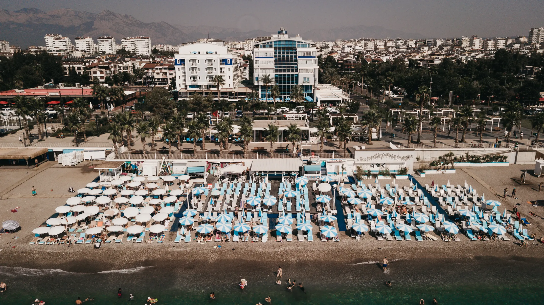 Shark Beach Club havadan görünüm